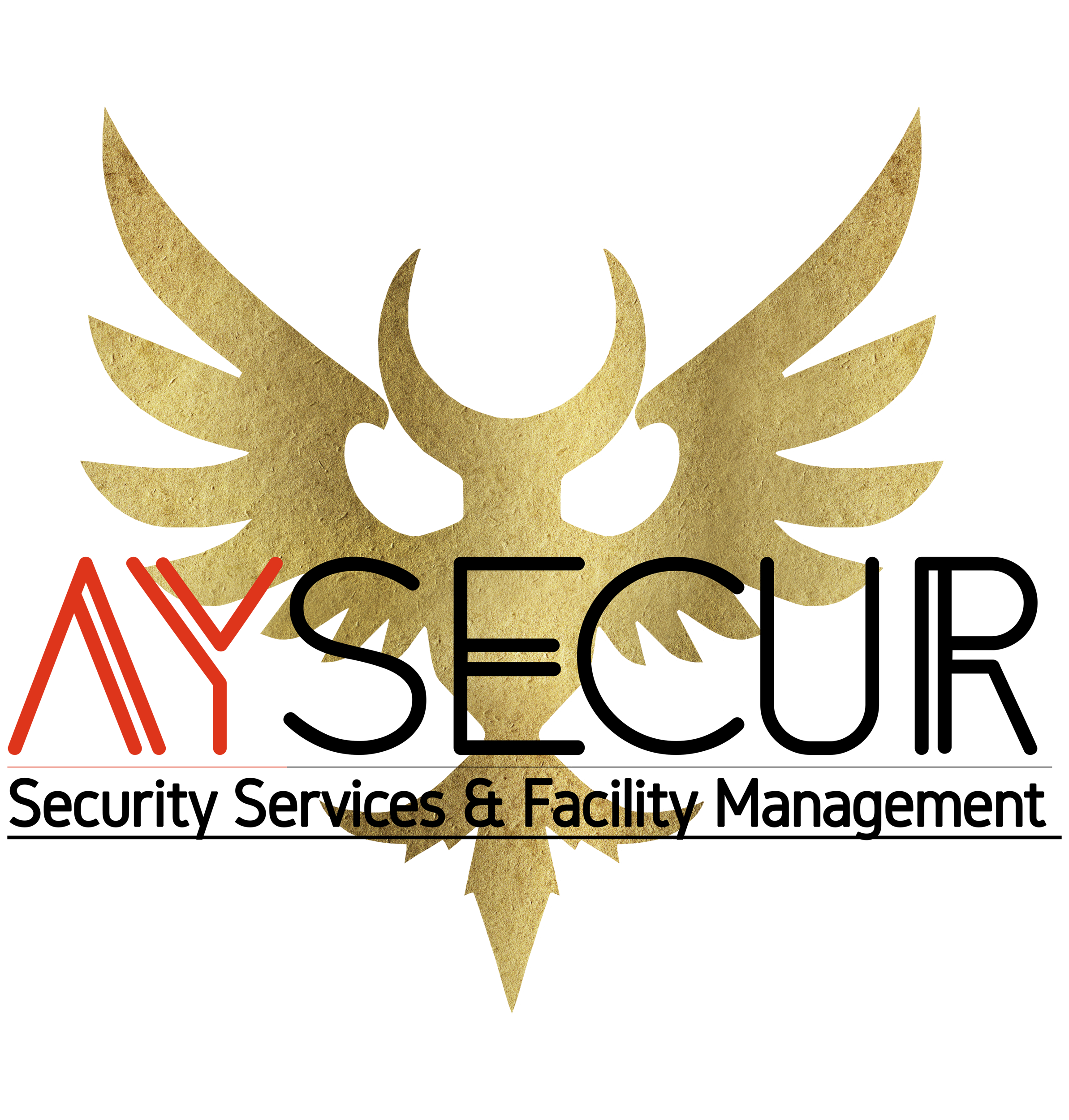 AYSECUR Logo